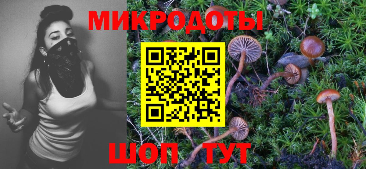Псилоцибиновые грибы мухоморы Бутурлиновка