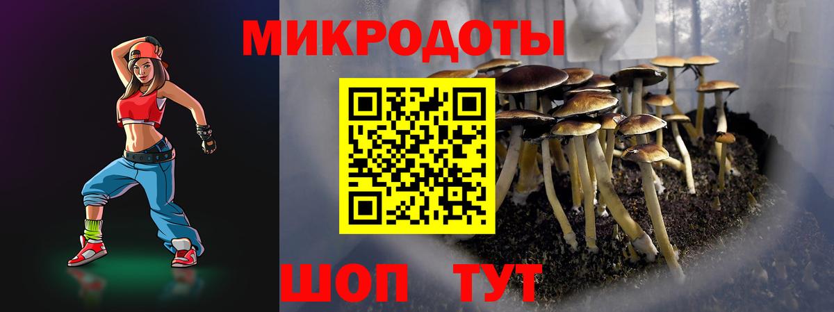 Бутурлиновка  Псилоцибиновые грибы Cubensis  Вход с VPN 
